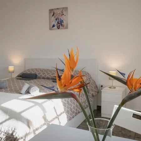 Vistalroque 2* Arona (Tenerife)